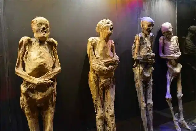 明明是人吃木乃伊!