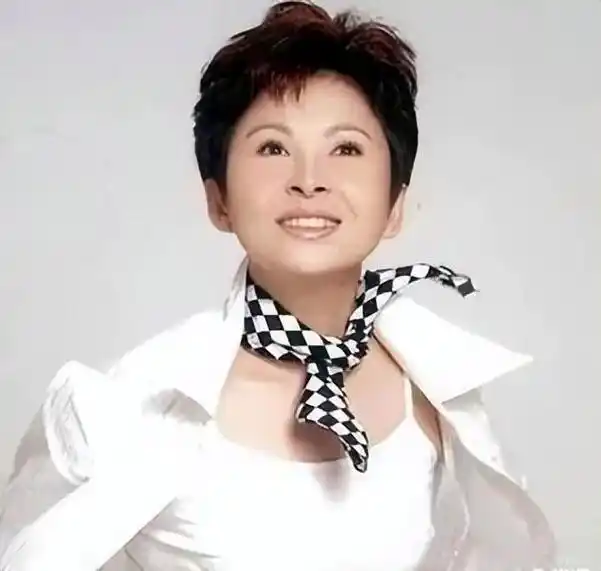 女歌手董文华近况怎样(歌手董文华:巅峰期因绯闻跌落)(23)