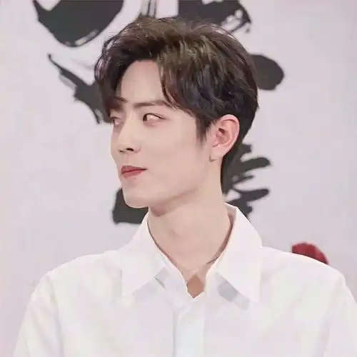 王一博肖战(头像/情头)