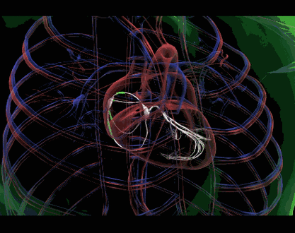 不同角度为你呈现真实心脏跳动_状态