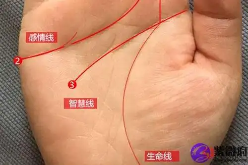 生命线短的人会早逝吗