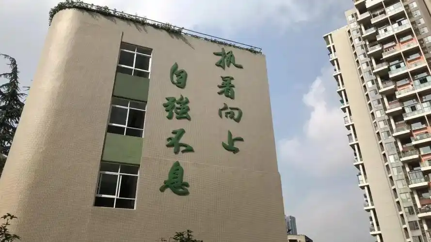 阳光大气,朝气蓬勃的成都17中运动健儿们1080p