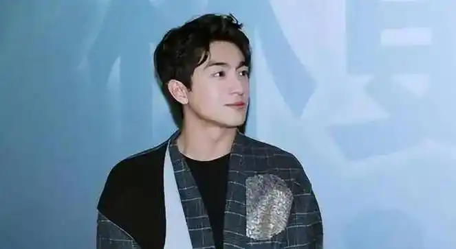 九亿少女梦碎的林更新被吐槽并不冤枉