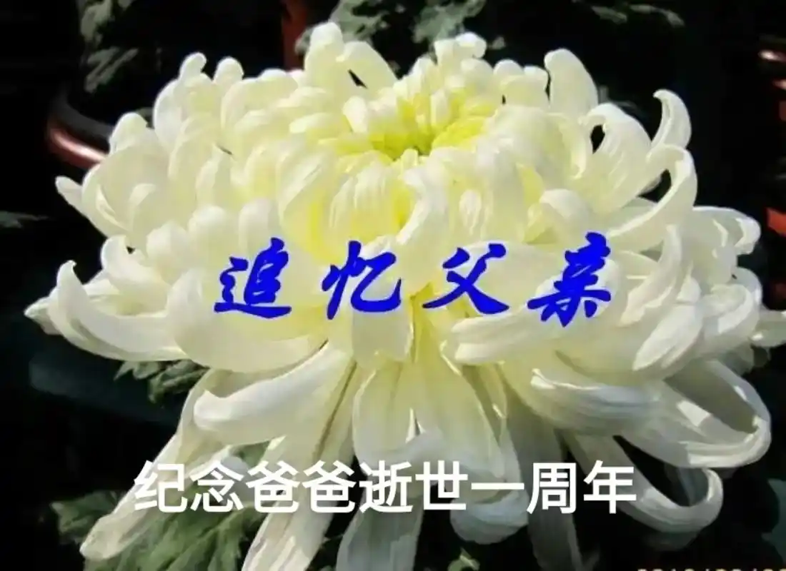 纪念爸爸逝世一周年.亲爱的爸爸:今天是您离开我们一周年忌日, - 抖音