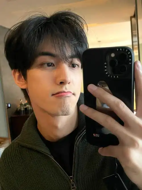 宋威龙对镜自拍live图