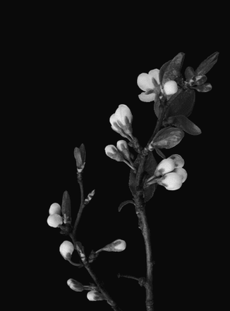 344_466竖版 竖屏gif 动态图 动图