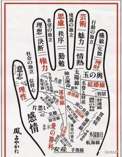 五个不同长短的手指,代表着什么不同的:事业,感情,财运呢?_指头