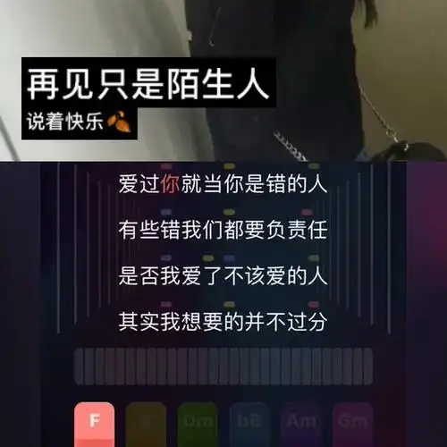 再见只是陌生人