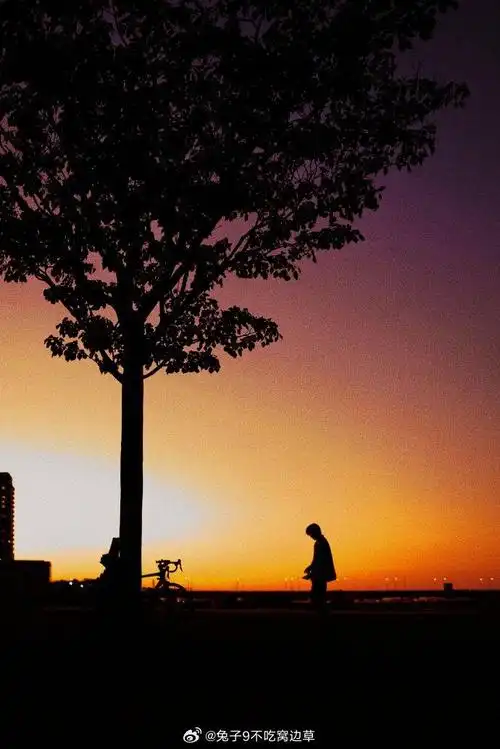 易烊千玺工作室又发15宫格 这夕阳剪影太帅了吧