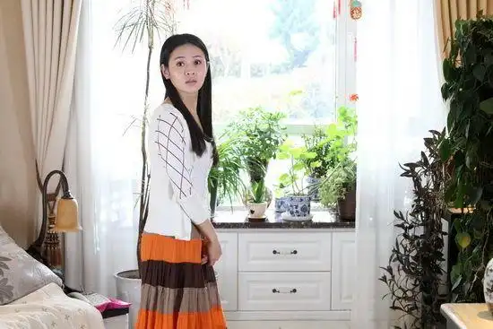 佟大为,于明加,丁嘉丽,于小伟等实力派演员主演的家庭情感大剧《门第