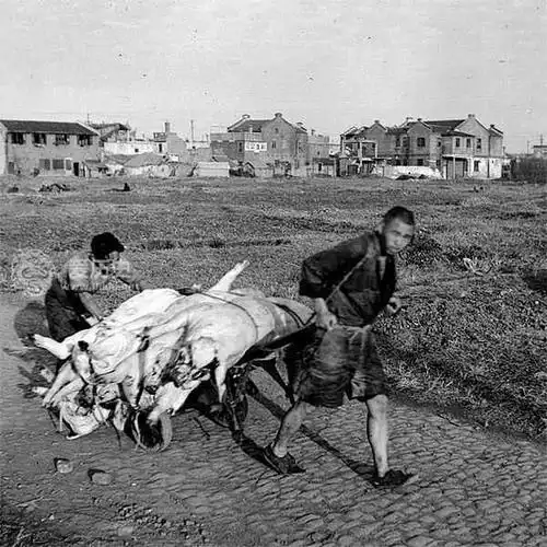 旧社会贫穷人家大闸蟹随便吃 真相是饭都快吃不上了