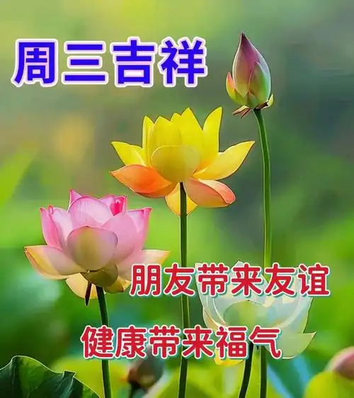 周三晨安愉快!|快乐|清晨_网易订阅