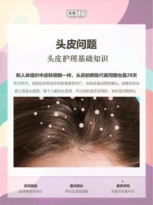秀发和健康的头皮健康的头皮标准9215是什么样的呢166头皮屏障