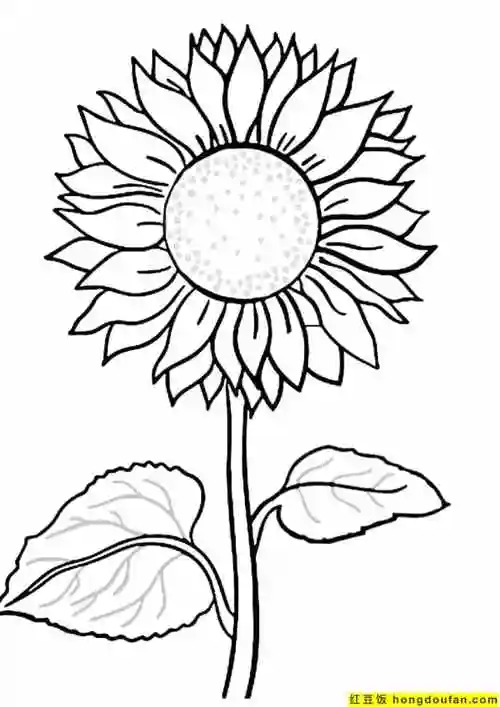 10张适合初学者学习的向日葵卡通儿童简笔画