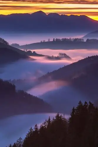 640_960竖版 竖屏