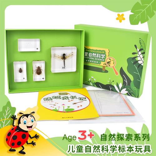 蜻蜓成长记昆虫标本琥珀式有机包埋幼儿园早教教具儿童益智玩具