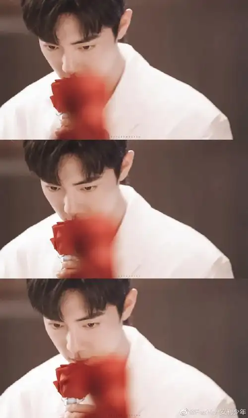 肖战浪漫迷人的玫瑰小王子#肖战#@x玖少年团肖战daytoy