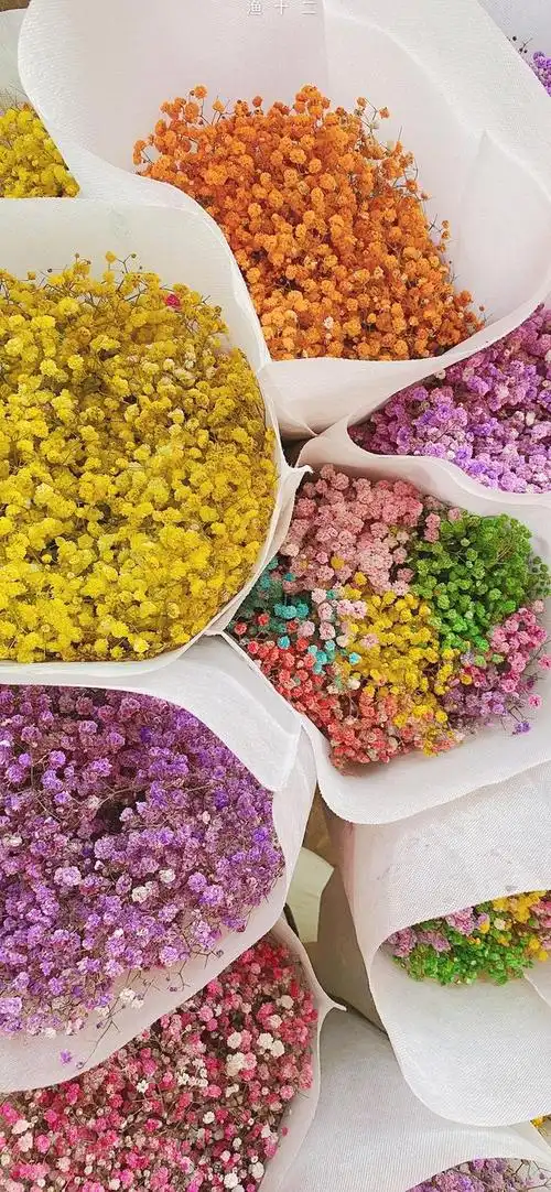 我想找个好看的图片,超好看的图(精选壁纸第 166>期)