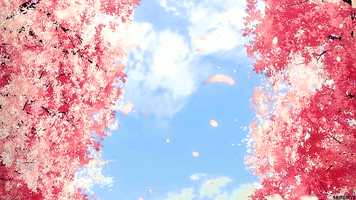 500_281gif 动态图 动图