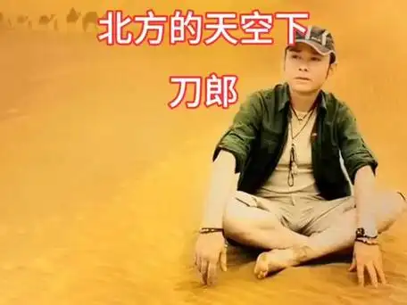 《北方的天空下》是由刀郎作词,作曲,刀郎演唱的歌曲,发行于2004年8月