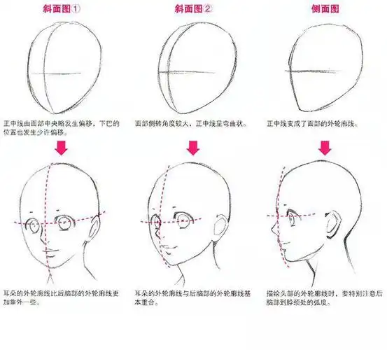 动漫人物侧面身体画法教程分享