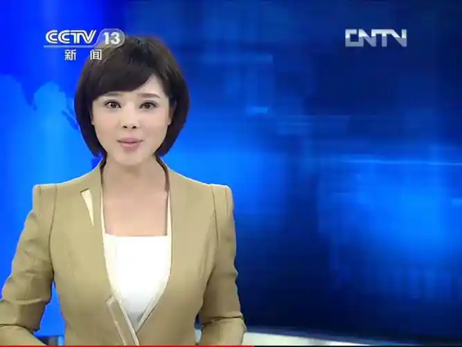 她是央视首席出镜记者,32岁低调嫁44岁名导,如今35岁似少女