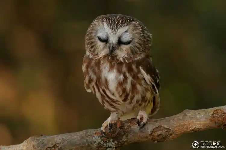 发现地球之美(3.19~3.25)