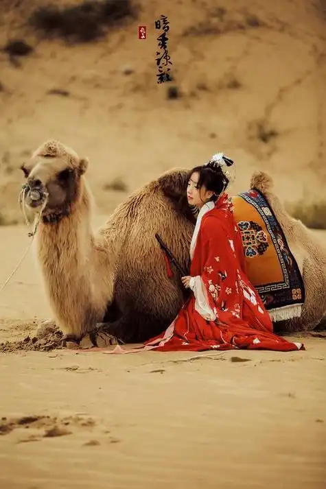 口洗盘子,女儿:再卖惨也没钱|赵明|张丽|李颖|赵玲|家庭主妇_网易订阅