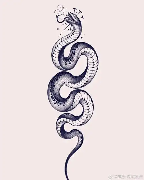 图案分享    蛇纹身    #纹身分享##纹身设计##北京纹身店##纹身素材