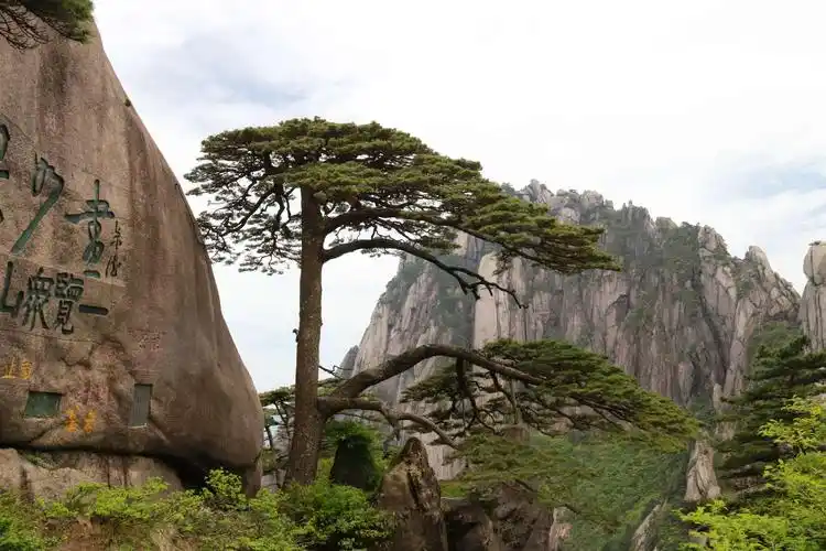 黄山标志性景观～迎客松