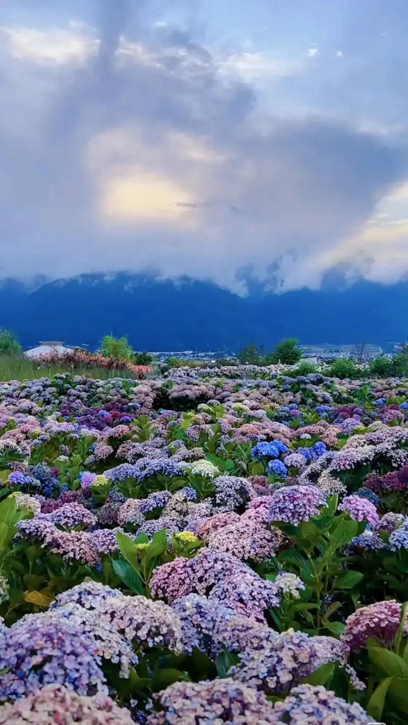 心想事成#壁纸 #风景 #抖音图文扶持计划 - 抖音