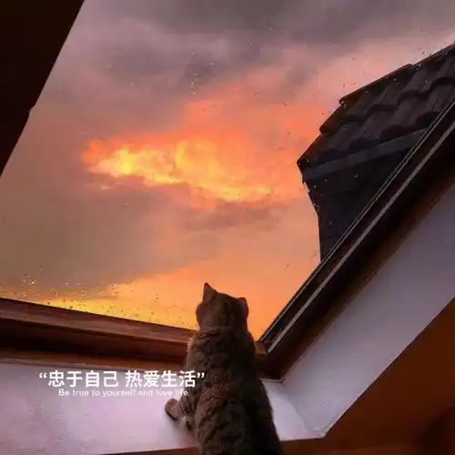 最近很火的朋友圈背景图