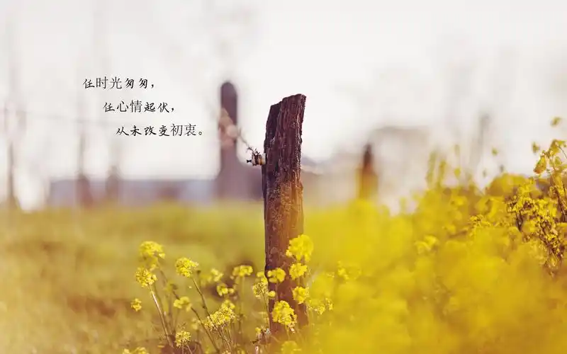 时光匆匆的经典句子配图