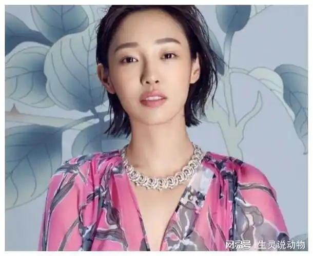 离婚多年之后再看羽凡和白百何近况差距简直不要太大