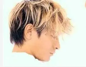 谁有华仔99年那时候黄头发的相片?