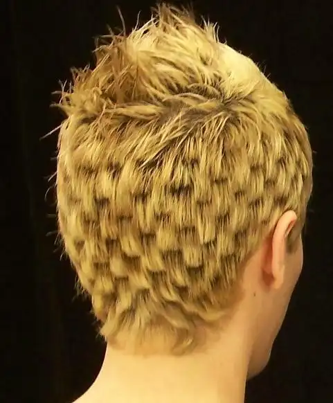 回头率超高的怪异奇葩发型