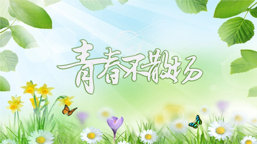 青春不散场同学聚会联谊会策划精美模板.pptx