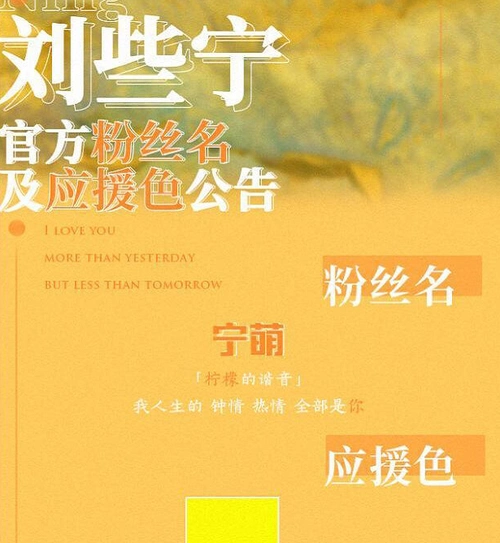 刘些宁的应援色是"sallyyellow",而sally也是刘些宁的英文名,她后面