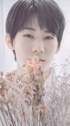 手机壁纸张真源