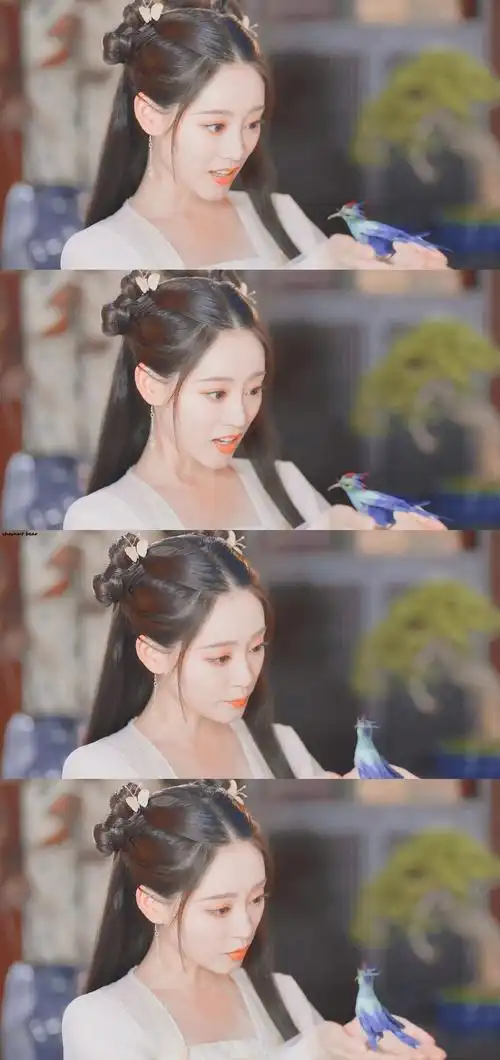 祝绪丹遇龙—流萤