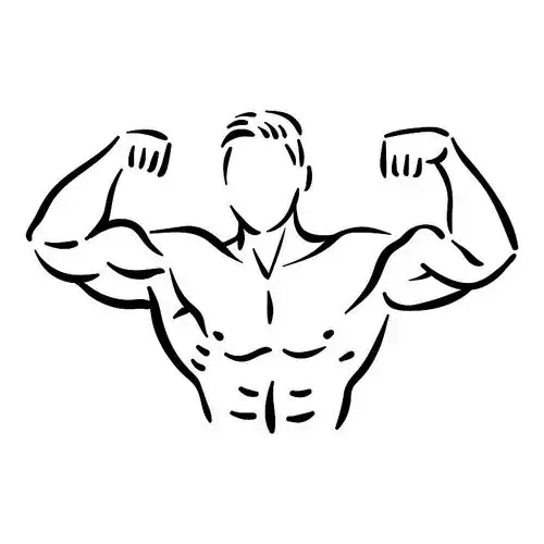 健美运动员健身运动员在健身房肌肉发达图片下载