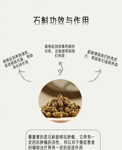 石斛的功效与作用,科学揭秘石斛的真实功效,建议收藏!_铁皮_身体_种植