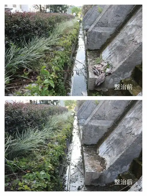 (环境整治前后对比图)
