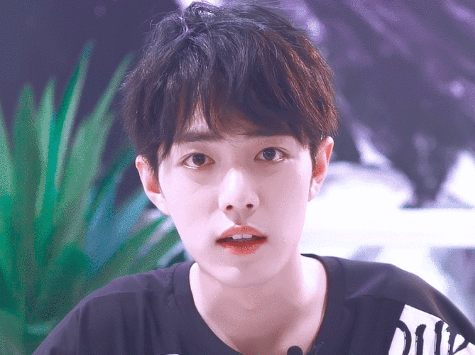 720_538gif 动态图 动图