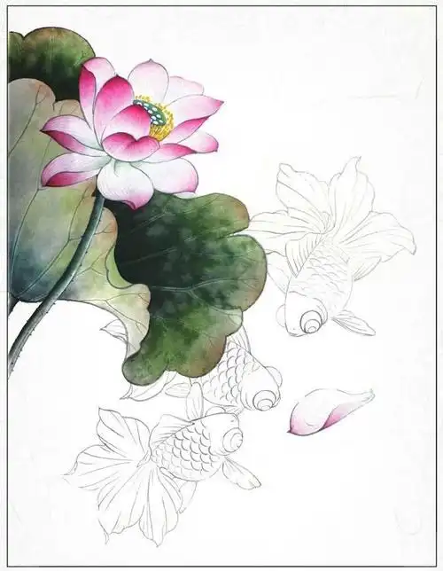 工笔画金鱼创作:分步骤讲解,喜欢画工笔画的都来临摹,简单易学