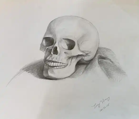 张天赫绘画作品(6岁—16岁)