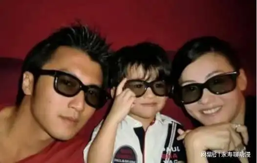 谢霆锋不再隐瞒早与张柏芝约定生三胎谢贤气到病情加重