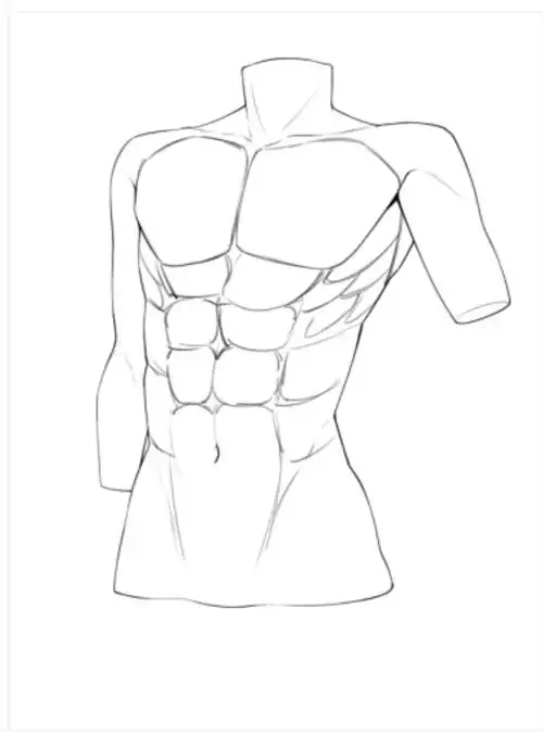 难点2:添加肌肉