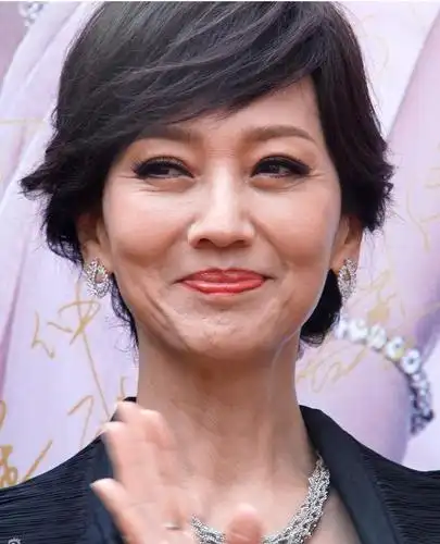 赵雅芝皱纹显老 依旧是"不老女神"(3)