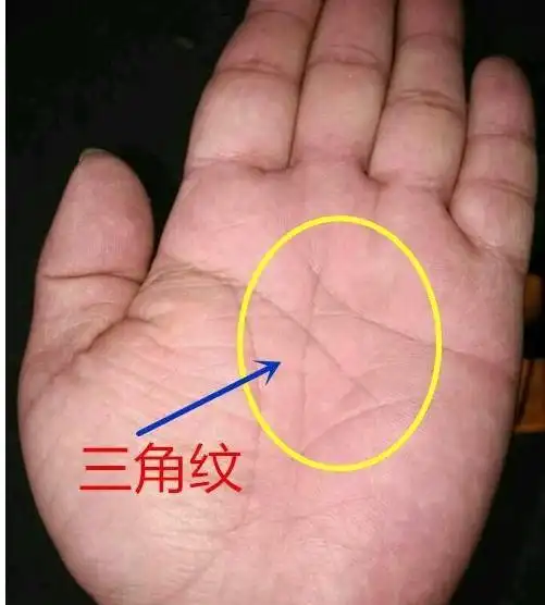 男人手中如果有这些手相,财运多,事业旺,注定富贵命!
